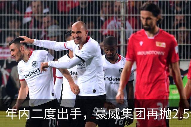 年内二度出手，豪威集团再抛2.5亿至5亿元回购计划 上次回购股份最终由激励转注销